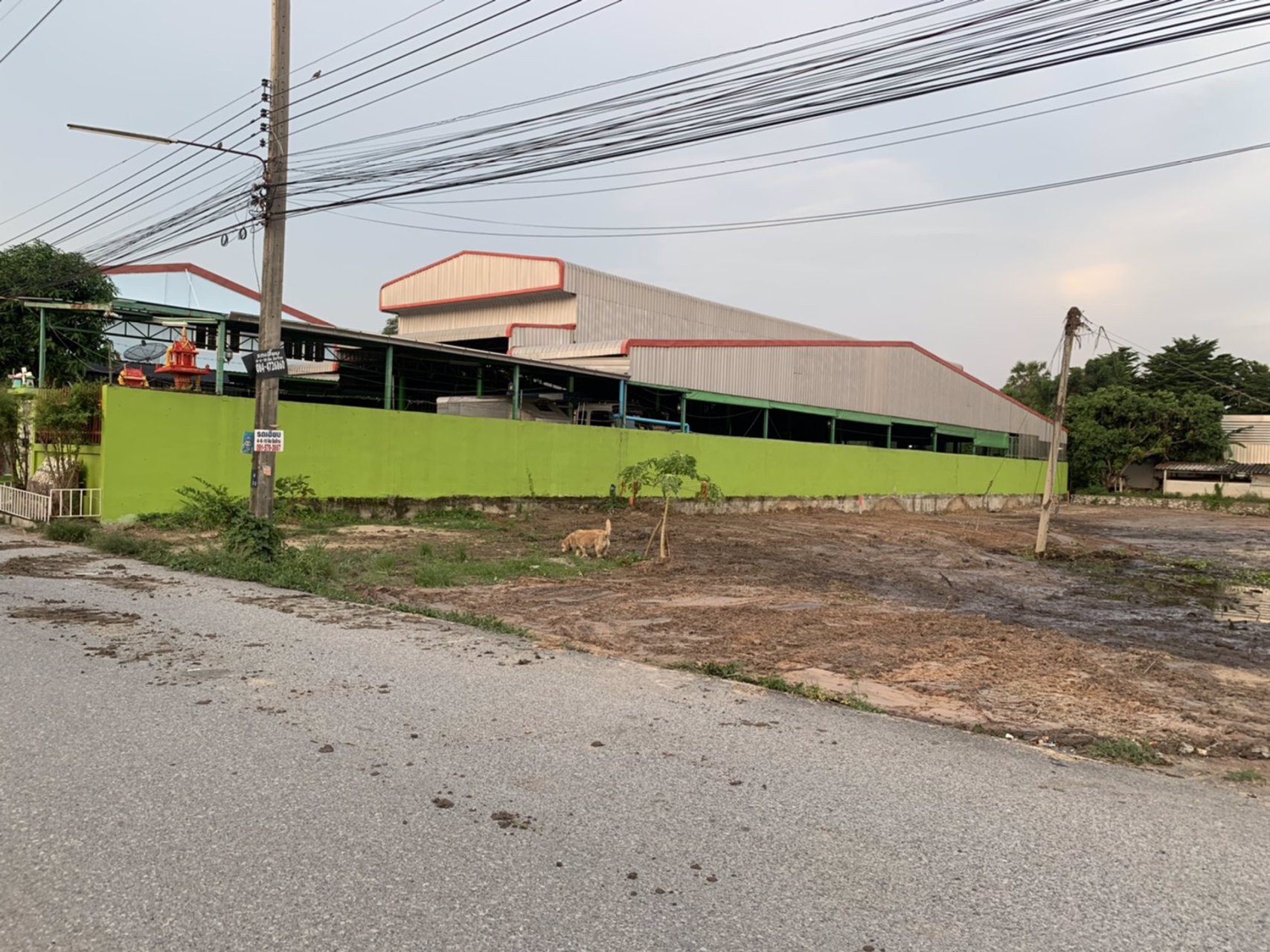 ขายที่ดิน-เนื้อที่-2-ไร่-ติดถนน-2-ด้าน-หน้ากว้างประมาน-60-เมตร-อเมืองชลบุรี-จชลบุรี