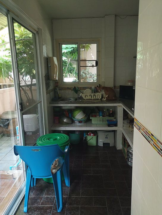 ขายบ้านเดี่ยว-แสนร่มรื่น-หมู่บ้านชัยพฤกษ์-1-ขนาด-563-ตรว-ถนน-345-ใกล้แยกบางคูวัด