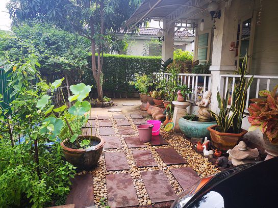 ขายบ้านเดี่ยว-แสนร่มรื่น-หมู่บ้านชัยพฤกษ์-1-ขนาด-563-ตรว-ถนน-345-ใกล้แยกบางคูวัด