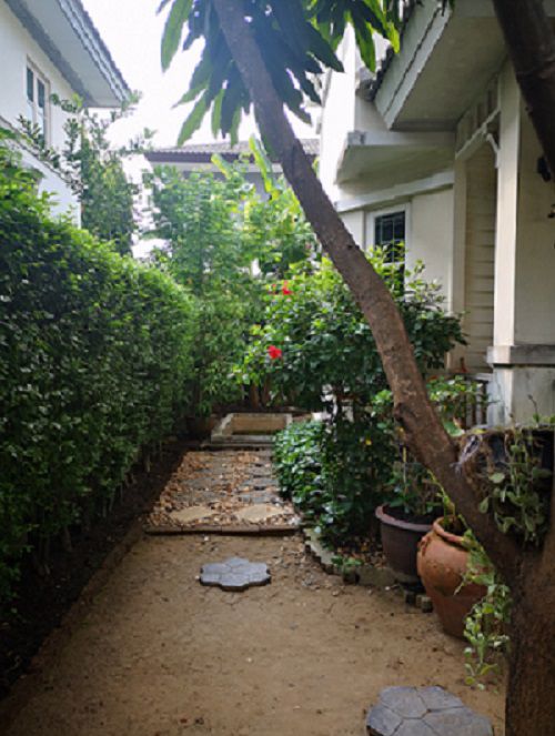 ขายบ้านเดี่ยว-แสนร่มรื่น-หมู่บ้านชัยพฤกษ์-1-ขนาด-563-ตรว-ถนน-345-ใกล้แยกบางคูวัด