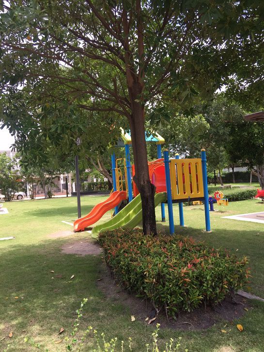 ขายทาวน์โฮม-พฤกษาทาวน์เน็กซ์-ลอฟท์-ปิ่นเกล้า-พุทธมณฑล-สาย-4-ติดถนนใหญ่-ใกล้สโมสร-ราคาถูก