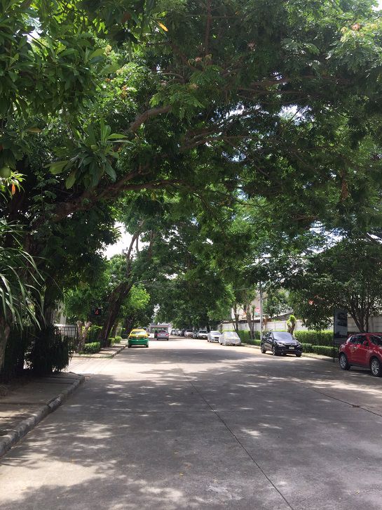 ขายทาวน์โฮม-พฤกษาทาวน์เน็กซ์-ลอฟท์-ปิ่นเกล้า-พุทธมณฑล-สาย-4-ติดถนนใหญ่-ใกล้สโมสร-ราคาถูก