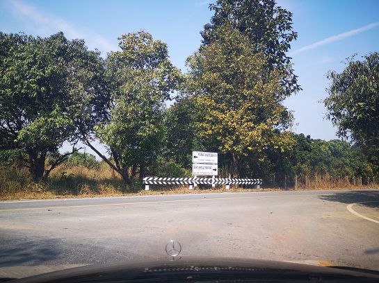 ขายที่ดินสวนลำไย-เนื้อที่-75-ไร่-ตนครเจดีย์-อป่าซาง-จลำพูน-ที่ติดถนน-มีลำไยอายุ-20-ปี