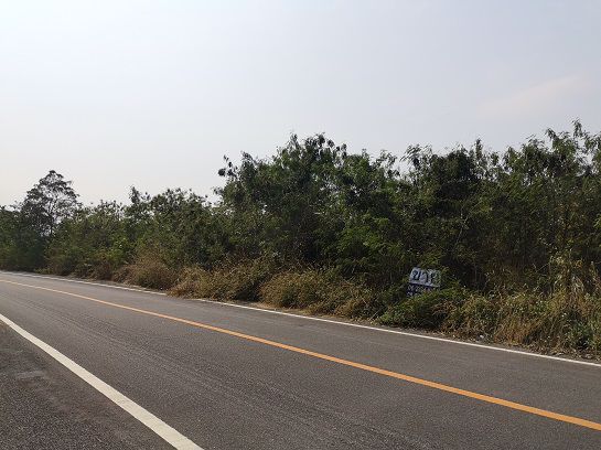 ขายที่ดินสวนลำไย-เนื้อที่-75-ไร่-ตนครเจดีย์-อป่าซาง-จลำพูน-ที่ติดถนน-มีลำไยอายุ-20-ปี