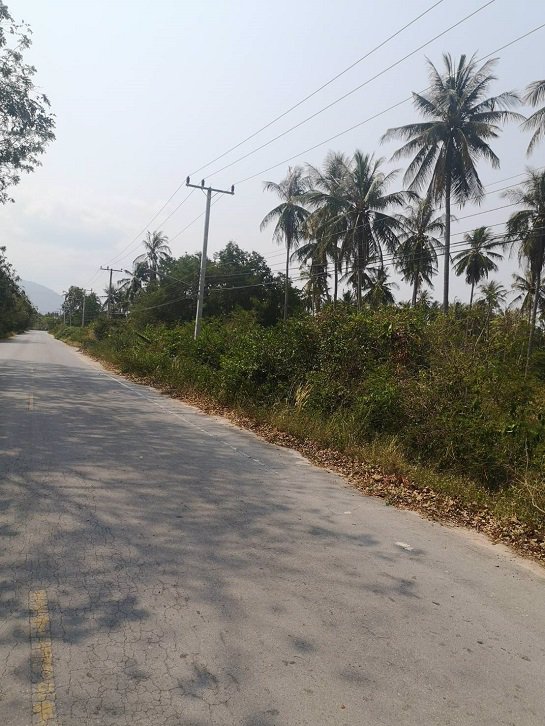 ขายที่ดิน-ใกล้ชายทะเล-หาดวนกร-ประจวบ-ห่างจากถนนเพชรเกษมเพียง-300-เมตร-เหมาะทำ-รีสอร์ต-หรือบ้านจัดสรร