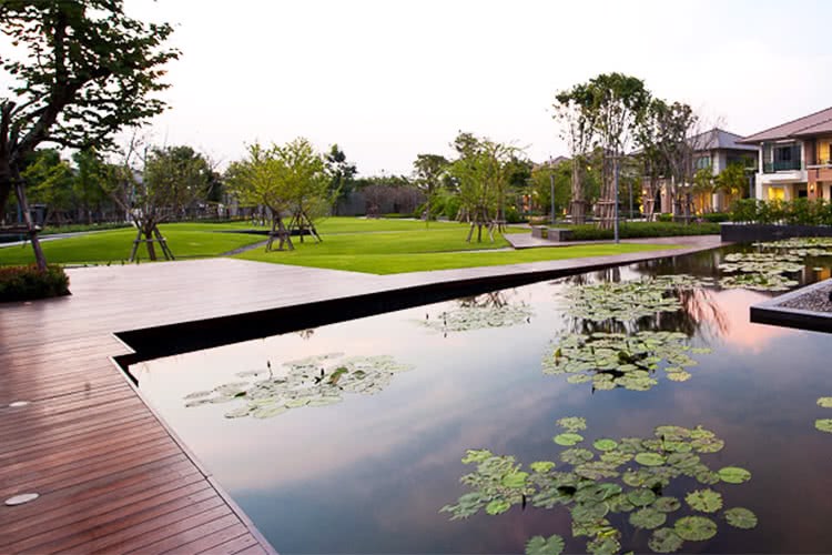 บ้านติดสวนส่วนกลาง-หลังใหญ่-เศรษฐสิริ-ชัยพฤกษ์-แจ้งวัฒนะ-ทำเลแห่งอนาคต-สภาพแวดล้อมแสนอบอุ่น-ลงตัวกับ