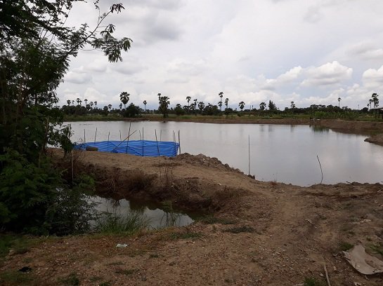 ขายที่ดินท่าตำหนัก-นครชัยศรี-ติดถนนซอย-148-เมตร-ห่างจาก-ถเพชรเกษม-ขาออก-15-กม-เนื่อที่-10-ไร่กว่า