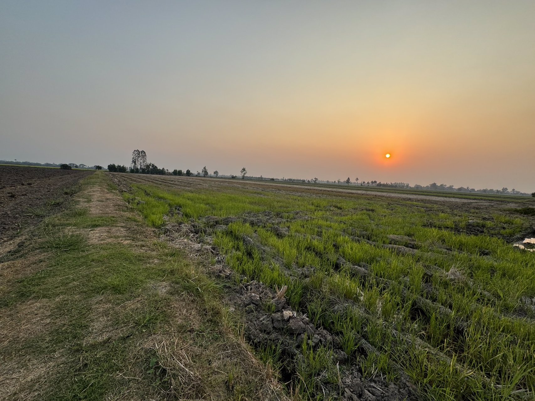 ขายที่ดิน-10ไร่-ตสีบัวทอง-อแสวงหา-จอ่างทอง