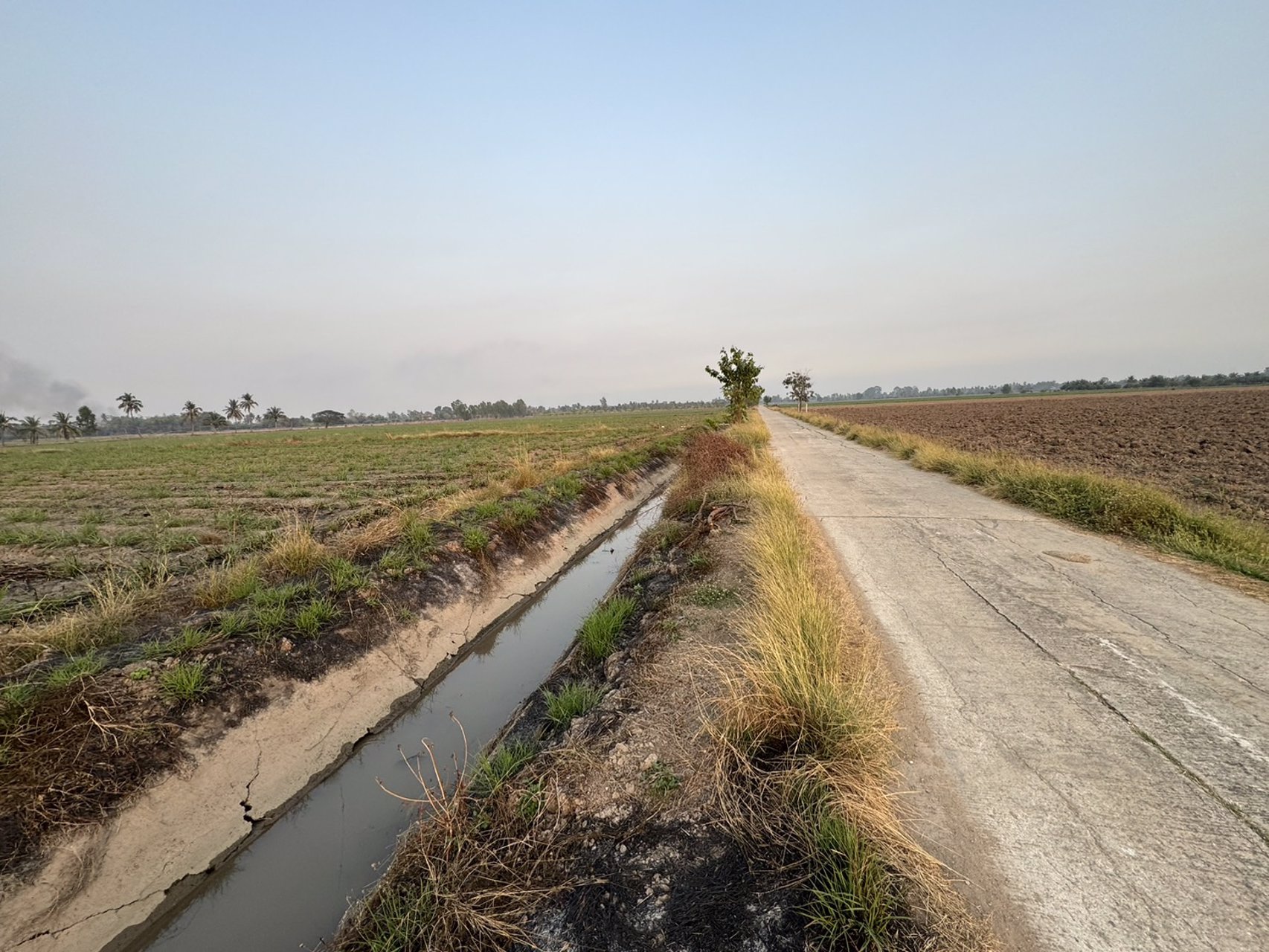 ขายที่ดิน-10ไร่-ตสีบัวทอง-อแสวงหา-จอ่างทอง