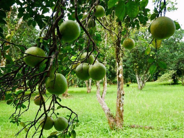 ขายที่ดินติดริมน้ำเขื่อนท่าด่าน-นครนายก-ที่ดินสวยมาก-เหมาะกับการทำที่พักอาศัยหรือรีสอร์ท