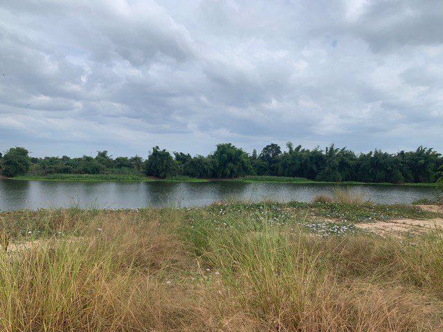 ขายที่ดินสวย-ใกล้วัดท่าซุง-หลวงพ่อฤาษีลิงดำ-อุทัยธานี-แปลงใหญ่-หน้าติดถนนใหญ่-หลังติดน้ำ