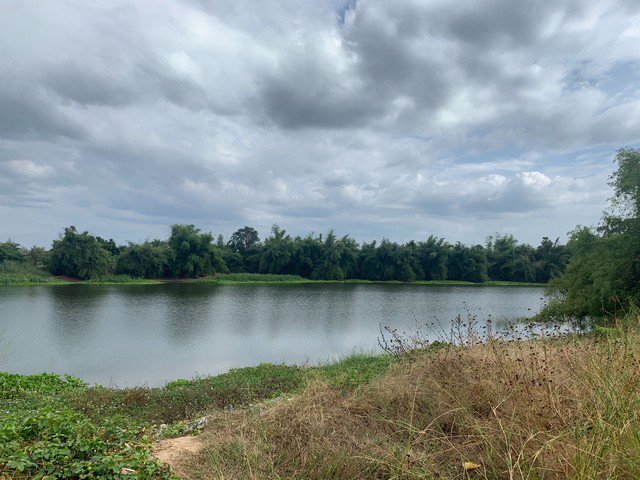 ขายที่ดินสวย-ใกล้วัดท่าซุง-หลวงพ่อฤาษีลิงดำ-อุทัยธานี-แปลงใหญ่-หน้าติดถนนใหญ่-หลังติดน้ำ