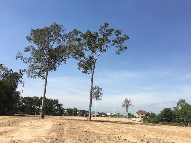 ขายที่ดินสวย-ใกล้วัดท่าซุง-หลวงพ่อฤาษีลิงดำ-อุทัยธานี-แปลงใหญ่-หน้าติดถนนใหญ่-หลังติดน้ำ