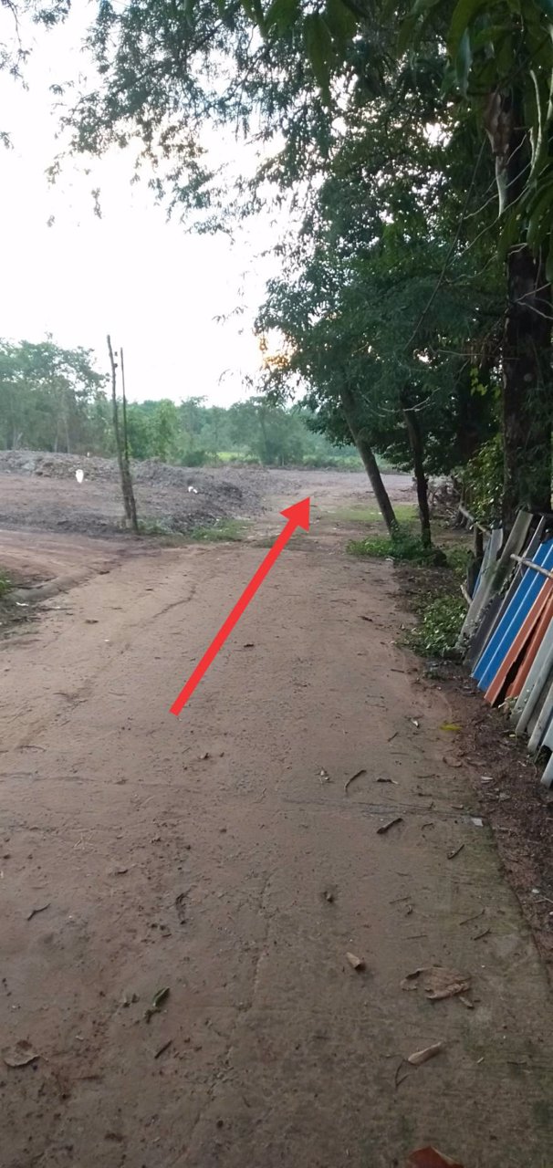 ขาย-ที่ดิน-4ไร่-พิบูลมังสาหาร-อุบลราชธานี