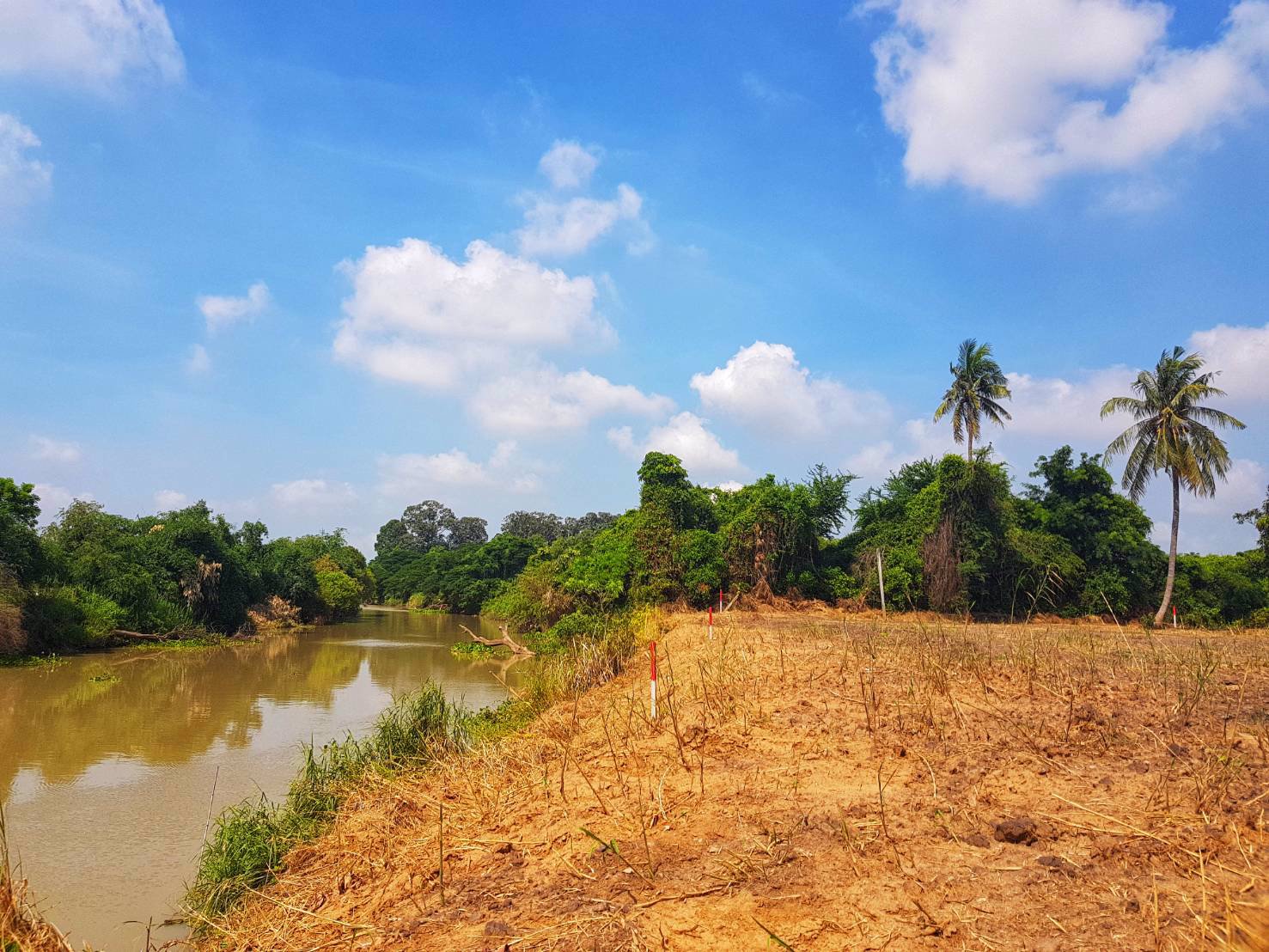 ที่ดินติดริมแม่น้ำ-อยุธยา-ถมสูงน้ำไม่ท่วม-อยู่ติดชุมชน