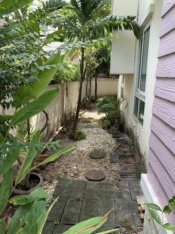 ให้เช่า-ขายบ้านเดี่ยว-หมู่บ้านสวนราชา-4-นอน-3-น้ำ-โครงการเกษตรนวมินทร์-เขตลาดพร้าว-เช่า-28000ข