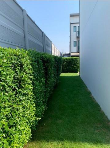 ให้เช่า-ขาย-บ้านกลางเมือง-ปิ่นเกล้า-จรัญ-บ้านใหม่-หลังมุม-3ชั้น-29-ตรว-170-ตรม-3-นอน-3-น้ำ-22000