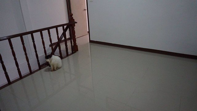 ทาวน์เฮาส์-2-ชั้นหมู่บ้านอยู่เจริญ-ใกล้-mrtสุธิสาร-2นอน-2น้ำที่-จอดรถ-1-คัน-25000-บาท