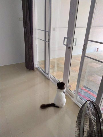 ทาวน์เฮาส์-2-ชั้นหมู่บ้านอยู่เจริญ-ใกล้-mrtสุธิสาร-2นอน-2น้ำที่-จอดรถ-1-คัน-25000-บาท