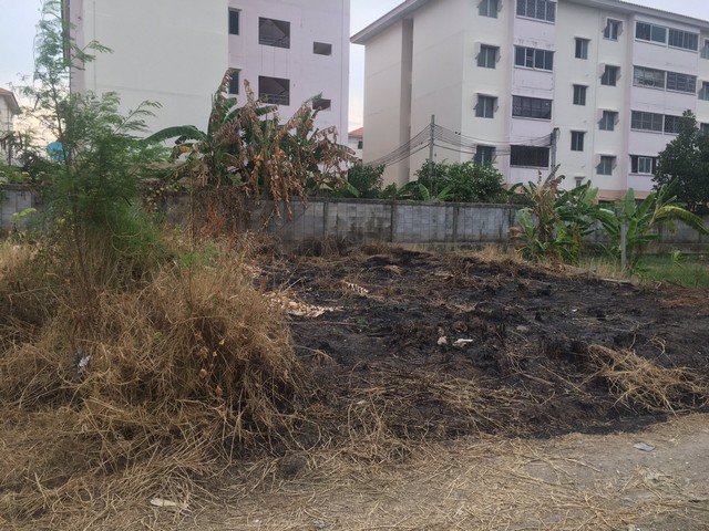 ที่ดินบางบัวทองขาย-60-ตารางวา-อำเภอบางบัวทอง-นนทบุรี-เพียง-ตารางวาละ-18335-บาท