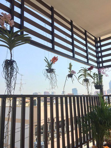 ขายตึก-5ชั้นพร้อมเฟอร์บิ้วออน-ใกล้-mrt-ห้างสรรพสินค้า-ม-หอการค้า-เดินทางสะดวก-ขาย18500000บาท