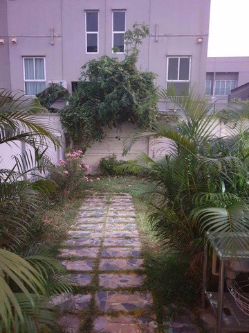 ให้เช่าทาวน์โฮม-โครงการtheplant-citiแจ้งวัฒนะ-อปากเกร็ด-3ชั้น-155ตรม-3นอน-3น้ำ-ค่าเช่า20000ต่อเดือ