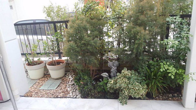 ขายทาวโฮมหมู่บ้านโกลเด้นทาวน์-ใกล้ห้างเมกะบางนา-2ชั้น-25-ตรว-131ตรม-4นอน-3น้ำ-439ล้าน