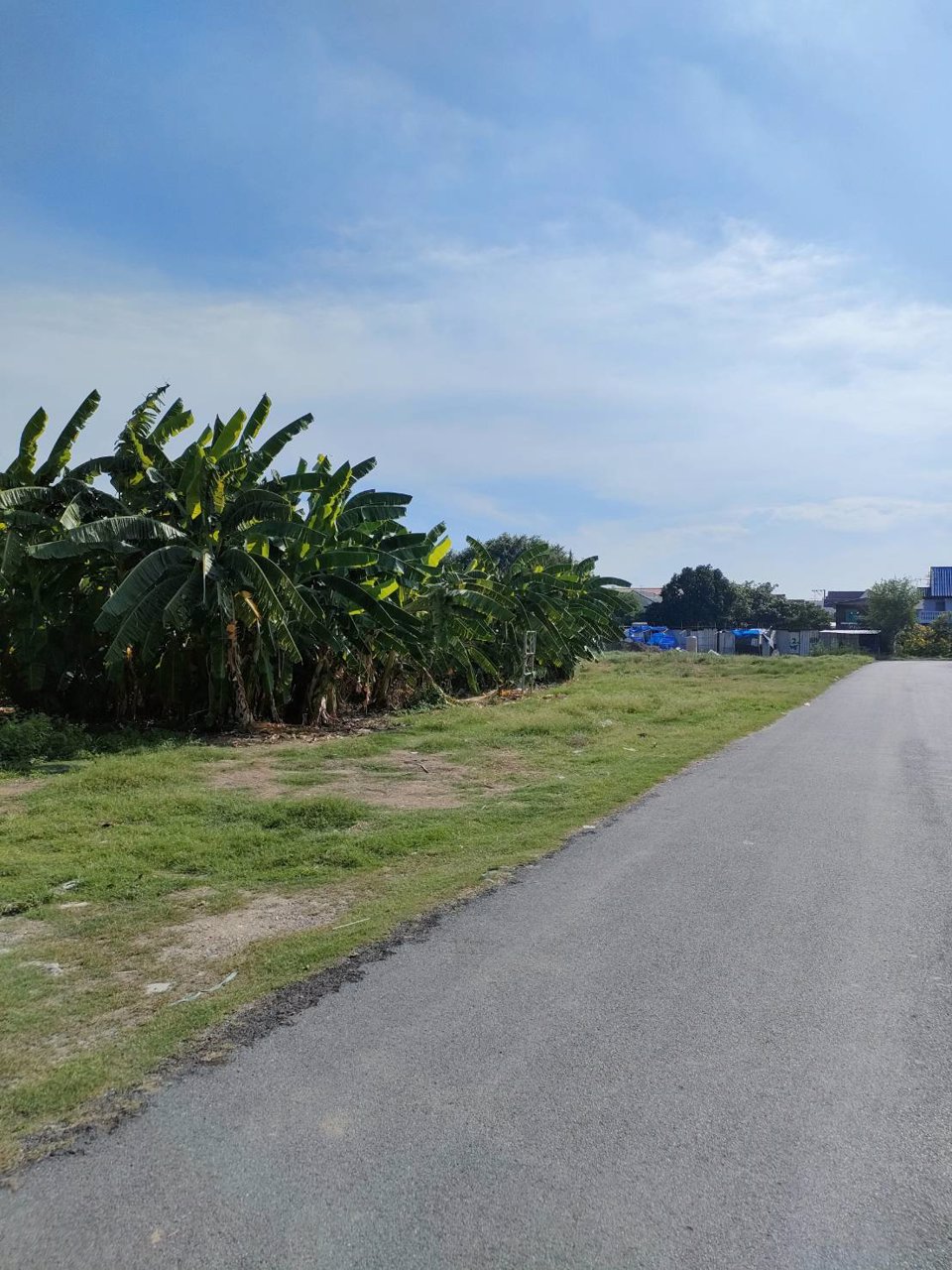 ให้เช่าที่ดินเปล่าถมแล้วในถนนนวลจันทร์-กรุงเทพมหานคร