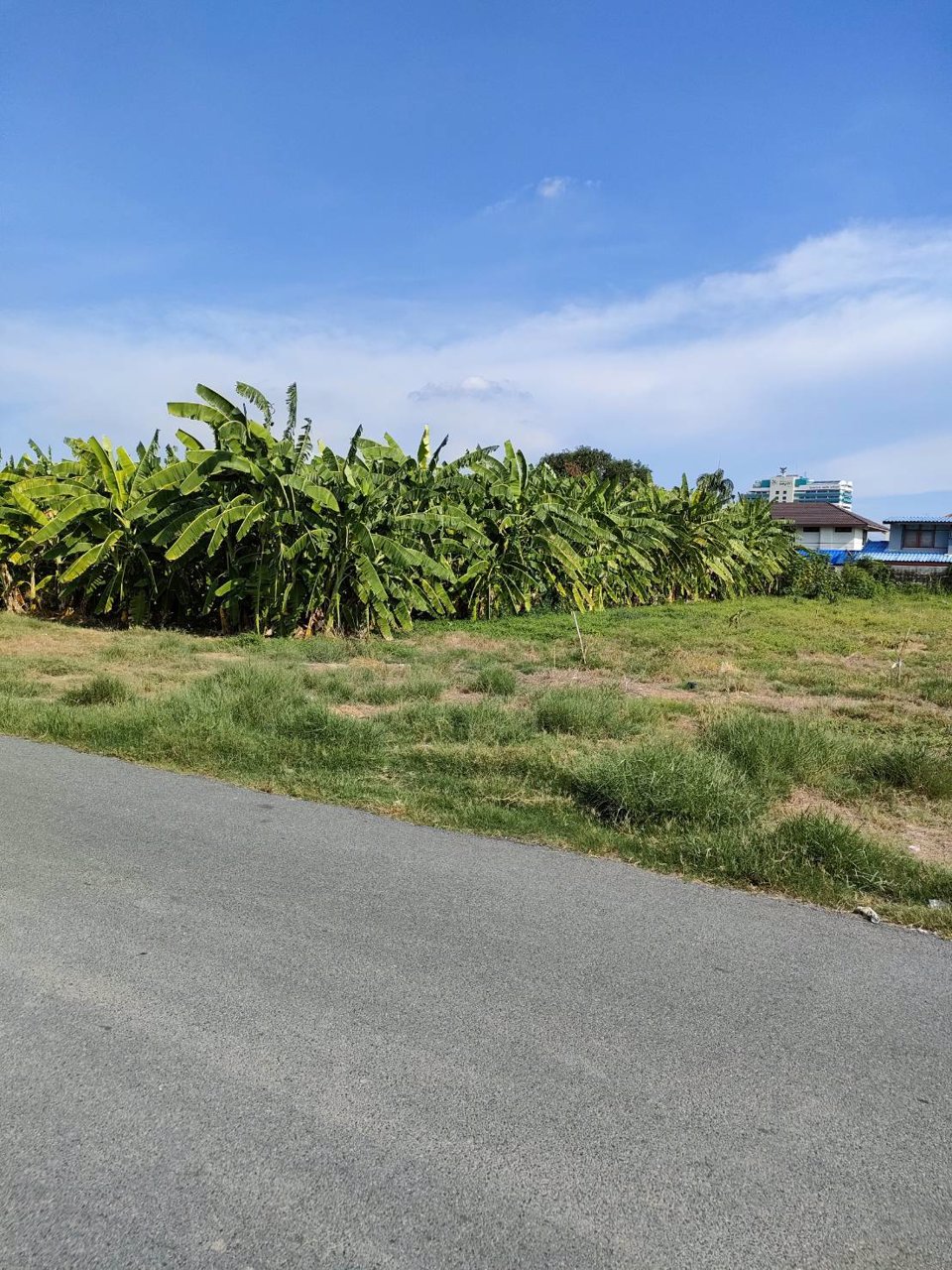 ให้เช่าที่ดินเปล่าถมแล้วในถนนนวลจันทร์-กรุงเทพมหานคร