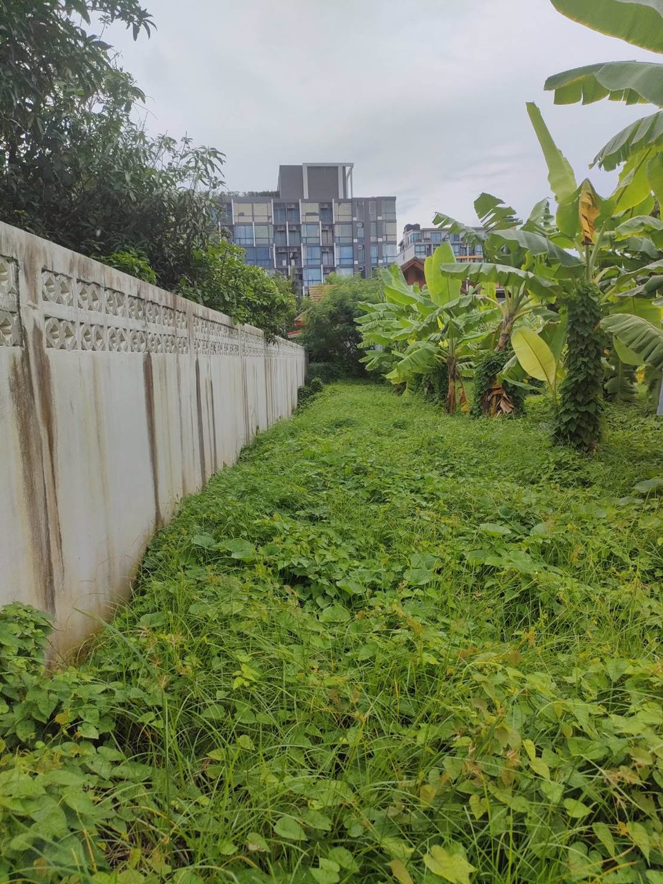 ขายที่ดินเปล่าถมแล้วในถนนลาดพร้าวซอย-48-กรุงเทพมหานคร