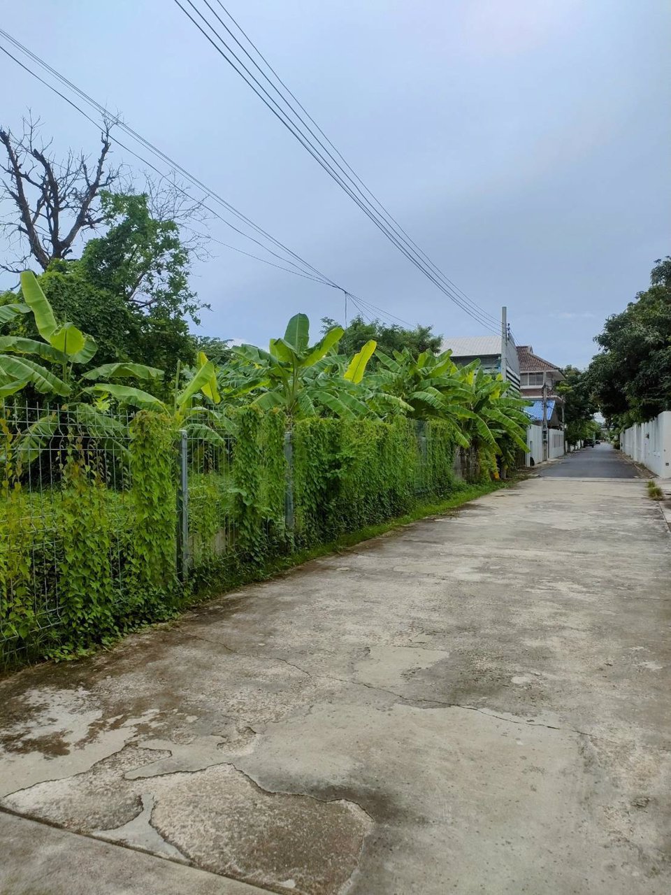 ขายที่ดินเปล่าถมแล้วในถนนลาดพร้าวซอย-48-กรุงเทพมหานคร