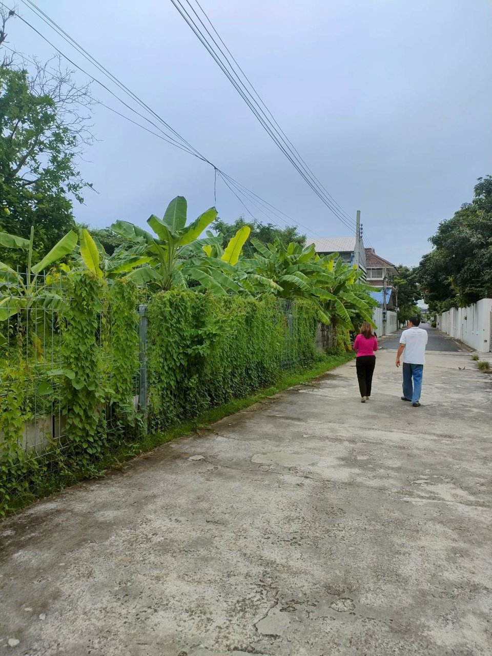 ขายที่ดินเปล่าถมแล้วในถนนลาดพร้าวซอย-48-กรุงเทพมหานคร