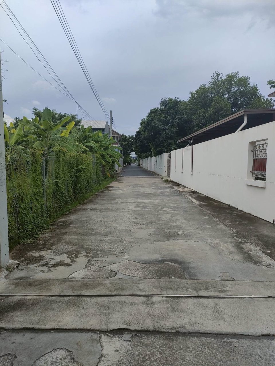 ขายที่ดินเปล่าถมแล้วในถนนลาดพร้าวซอย-48-กรุงเทพมหานคร