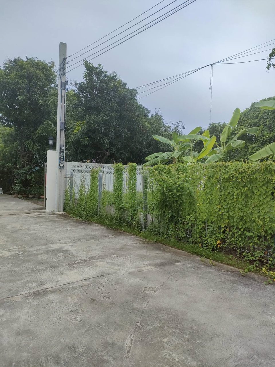 ขายที่ดินเปล่าถมแล้วในถนนลาดพร้าวซอย-48-กรุงเทพมหานคร