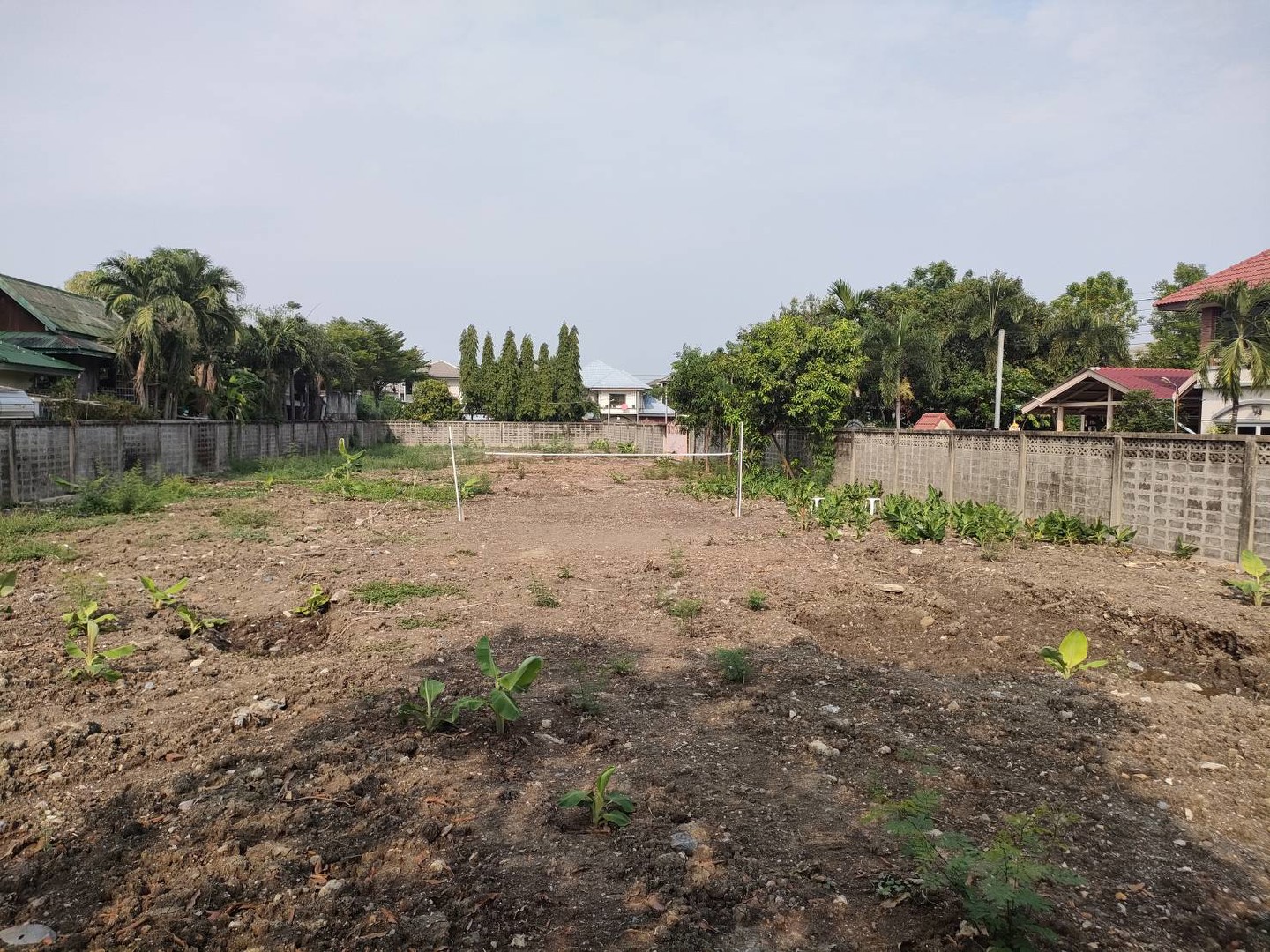 ให้เช่าที่ดินเปล่าถมแล้วในถนนมัยลาภ-กรุงเทพมหานคร