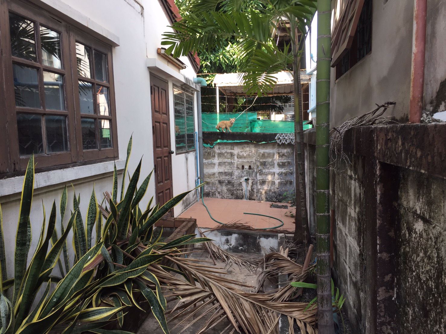 ขายบ้านเดี่ยว-ประชาอุทิศ92-tel02-1161546062-836-4445