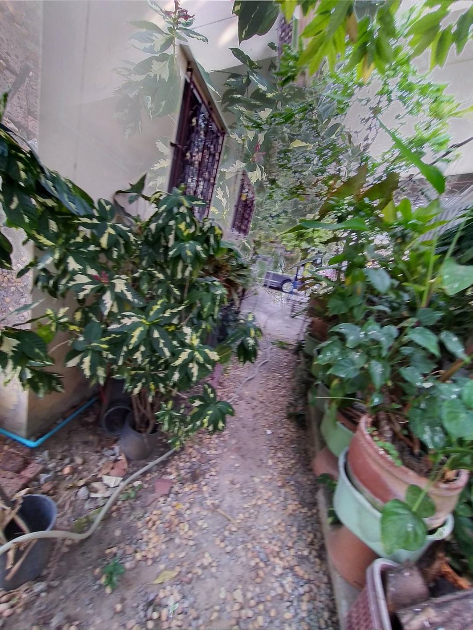 ขายบ้านหมู่บ้านณิชากร-tel02-1161546062-836-4445