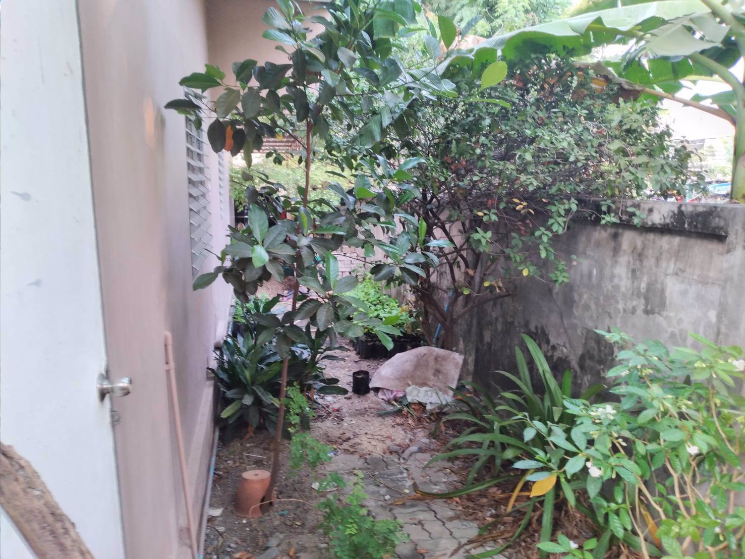 ขายบ้านเดี่ยวพร้อมที่ดินหมู่บ้านเศรษฐกิจ-tel064-9516296099-0476444