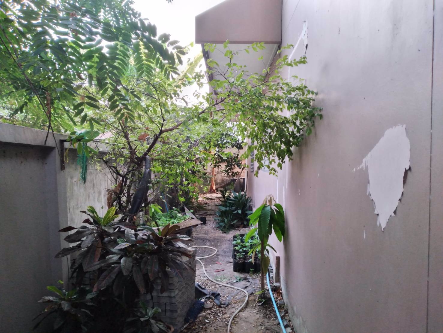 ขายบ้านเดี่ยวพร้อมที่ดินหมู่บ้านเศรษฐกิจtel064-9516296099-0476444