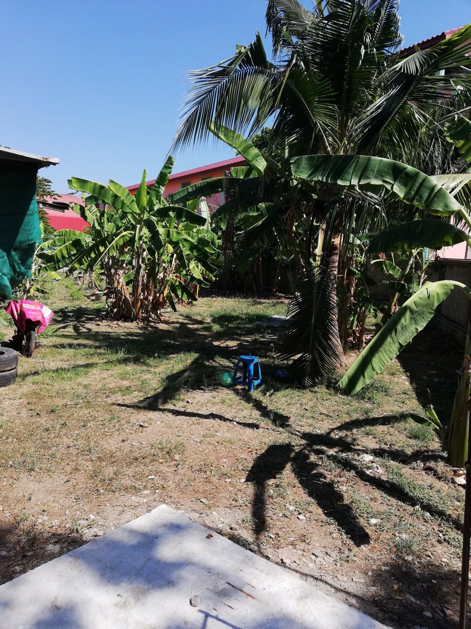 ขายบ้านทาวน์เฮ้าส์ชั้นเดียว-อเมืองสมุทรสาคร-tel094-045-7914064-974-1695