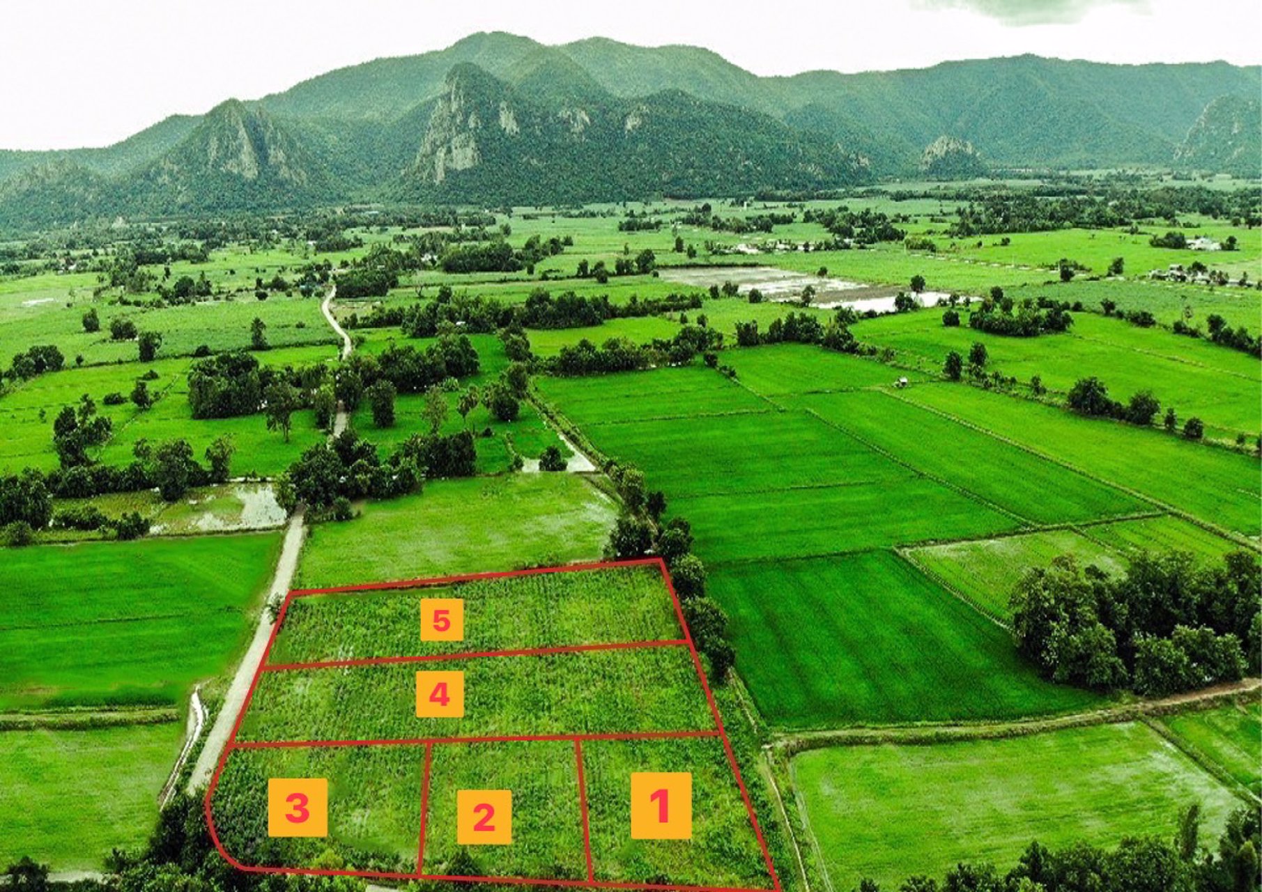 ขายที่ดิน-โฉนดครุฑแดง-ตเนินศาลา-อโกรกพระ-จนครสวรรค์