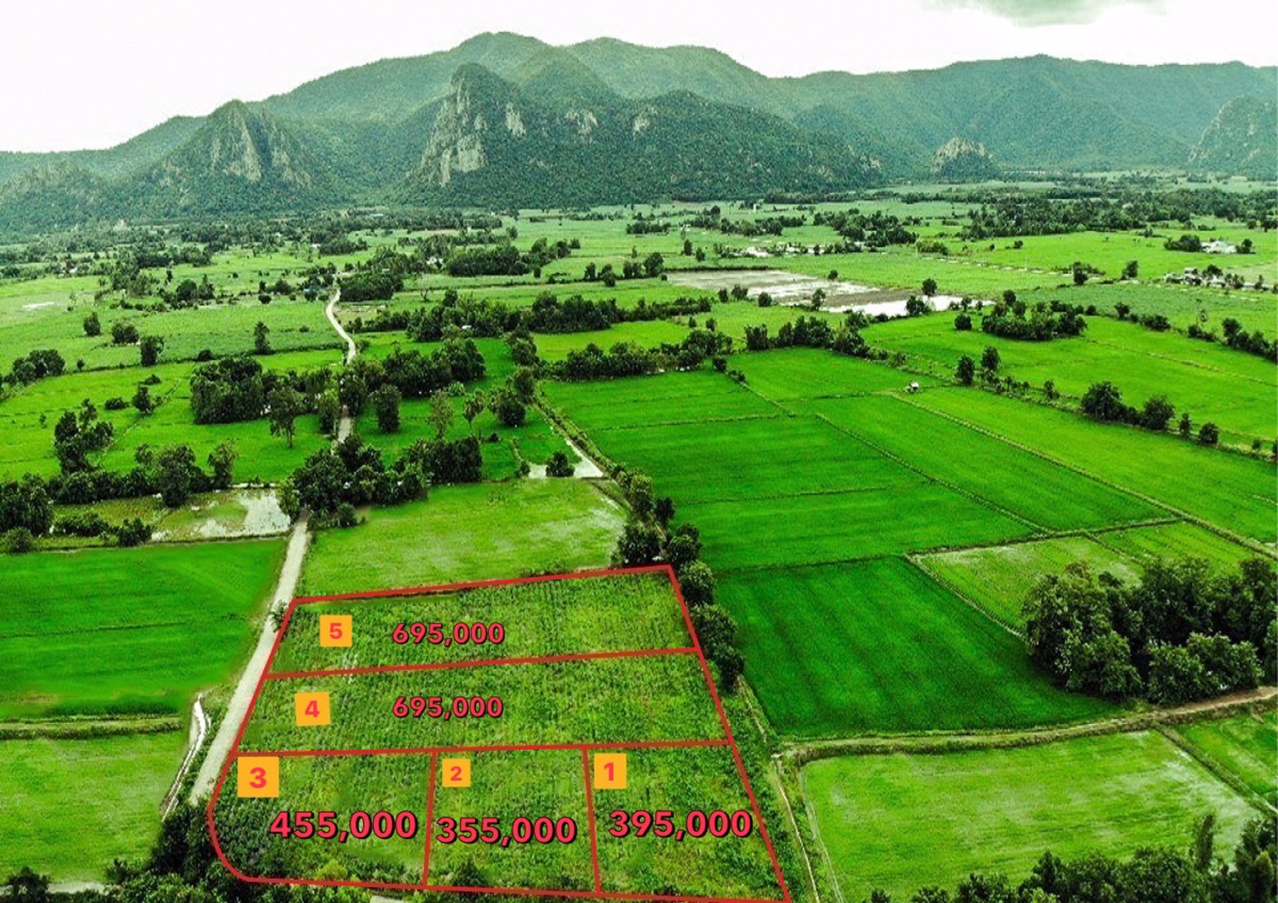 ขายที่ดิน-โฉนดครุฑแดง-ตเนินศาลา-อโกรกพระ-จนครสวรรค์