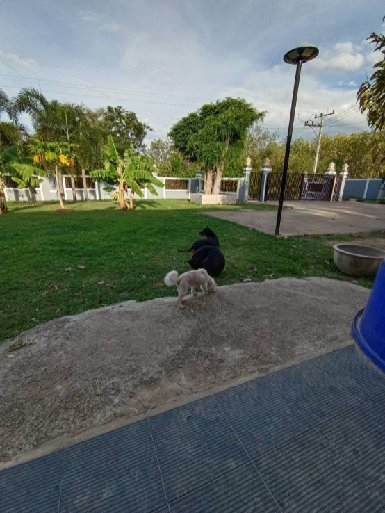 ขายที่ดินพร้อมสิ่งปลูกสร้าง-อำเภอสวนผึ้ง-ราชบุรี-สามารถทำกิจการรีสอร์ทได้