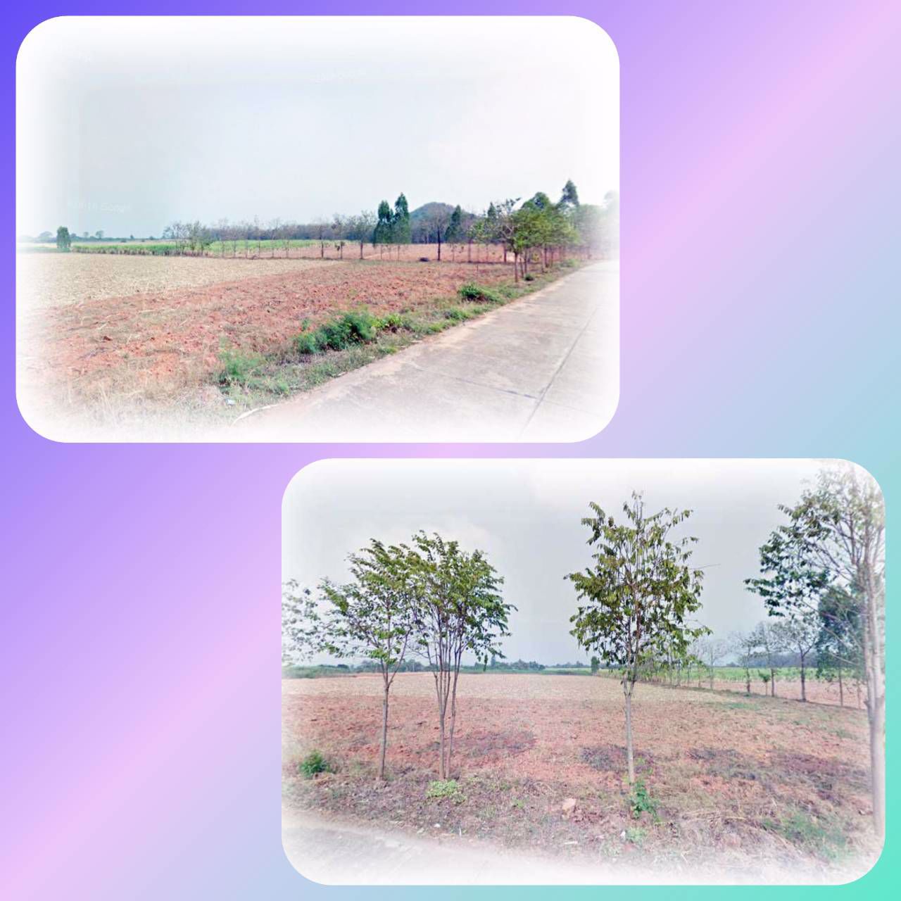 ขายที่ดิน-5-ไร่-บรรยากาศธรรมชาติ-ติดถนนสาธารณะ-60-เมตร-หนองตากยา-ท่าม่วง-กาญจนบุรี