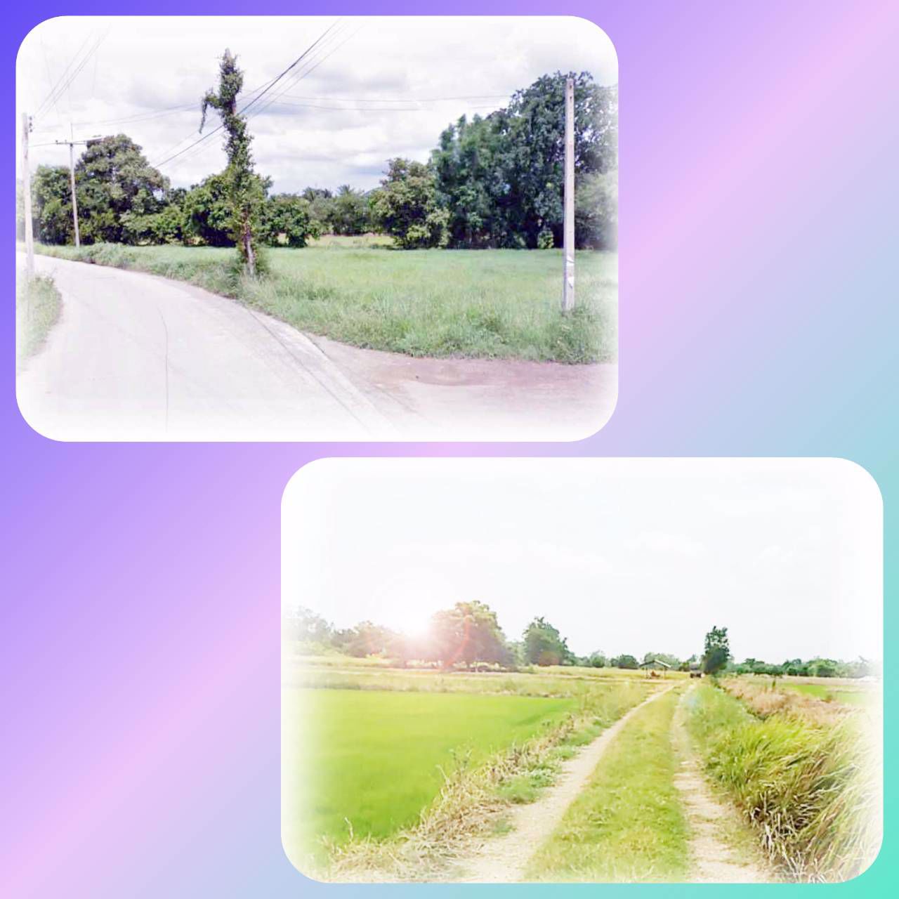 ขายที่ดินราคาถูก-1-ไร่-โฉนดเดียว-ใกล้ถนนบายพาสสระบุรี-ใกล้ถนนพหลฯ