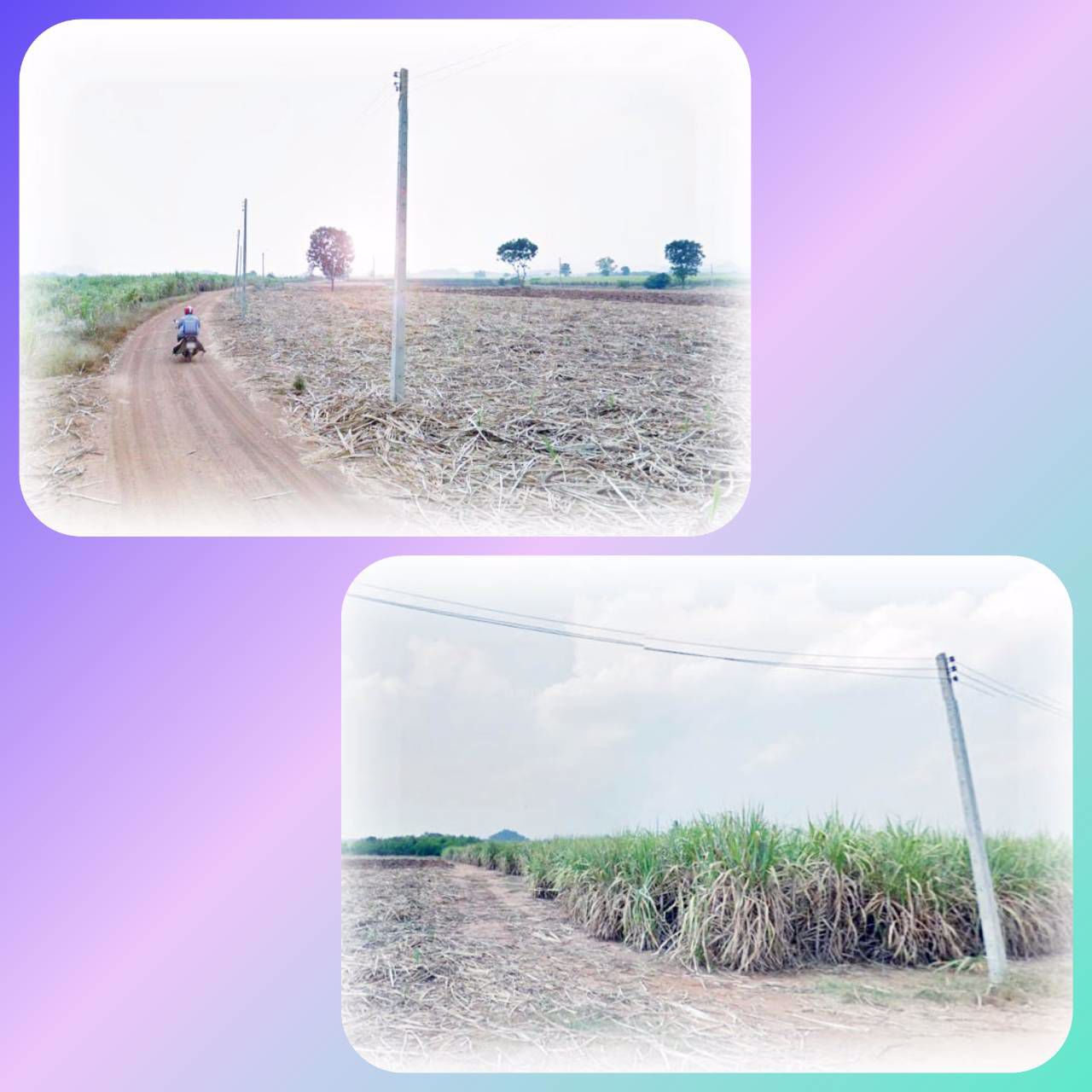 ขายที่ดินแปลงสวย-170-ไร่เศษ-โฉนด-ใกล้แหล่งชุมชน-หนองกวาง-โพธาราม-ราชบุรี