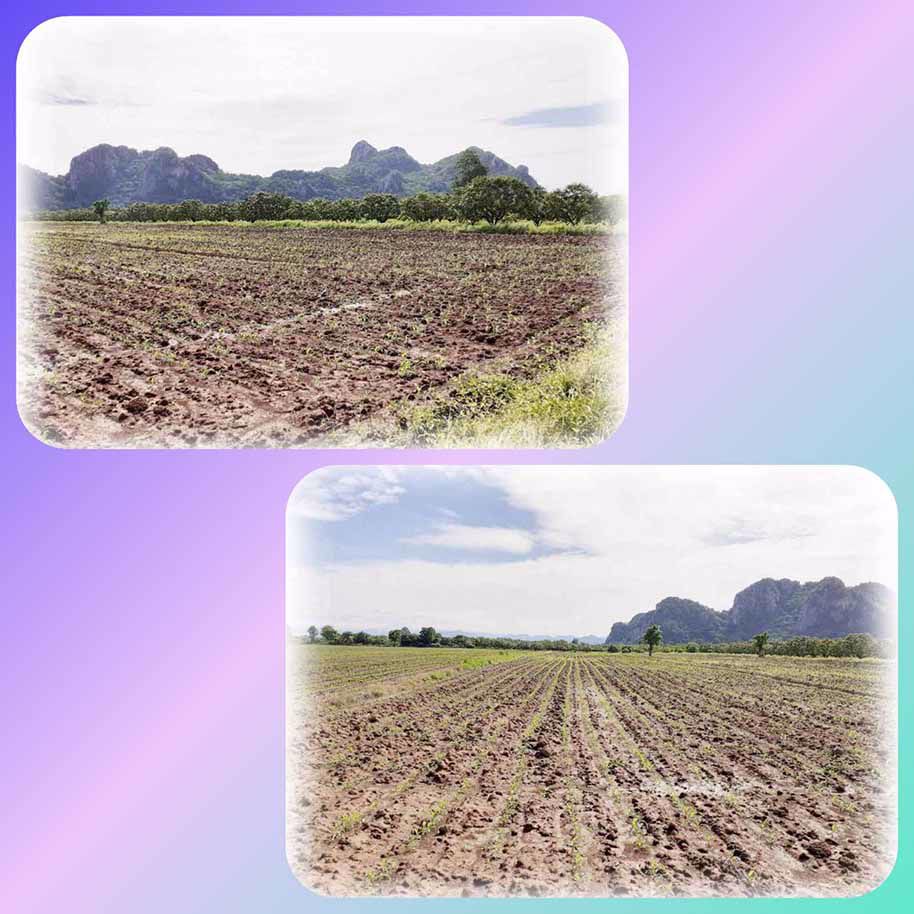 ขายที่ดินทำเลเยี่ยม-7-ไร่-ราคาถูก-วิวภูเขา-ใกล้ร้านอาหารอัจฉรา-ใกล้เตโชวิปัสสนาสถาน