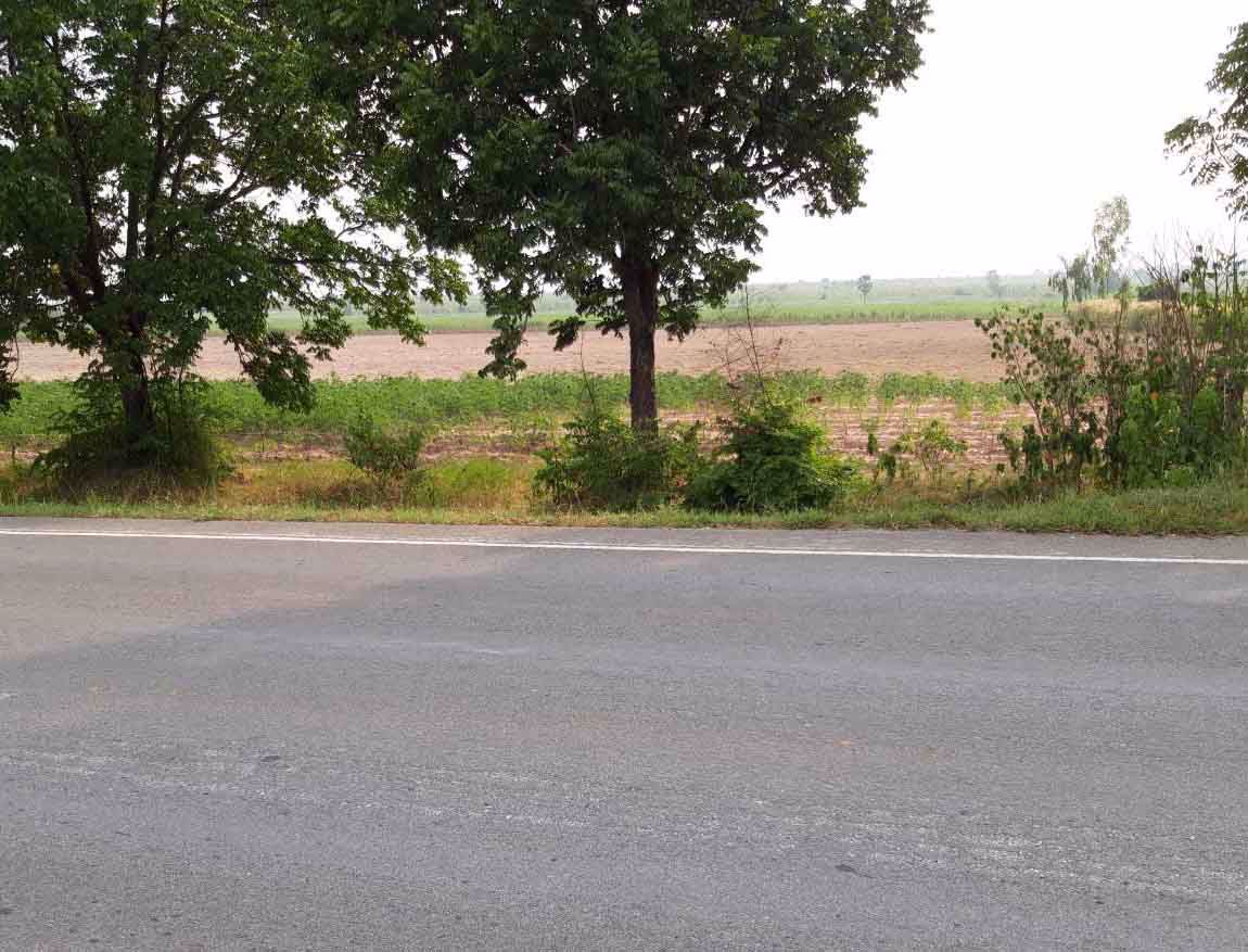 ขายที่ดินทำเลทองเกือบ-45-ไร่-ติดถนนหลวงเส้น-3306-วิวภูเขา-เลาขวัญ-กาญจนบุรี