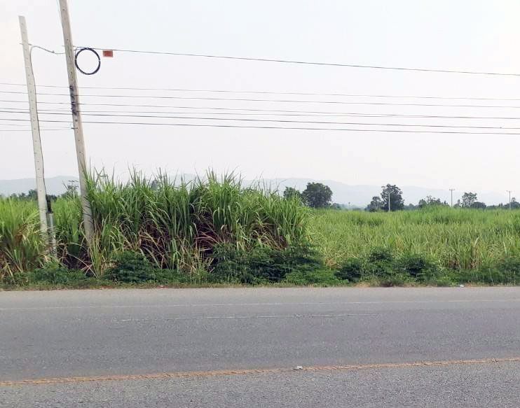 ขายที่ดินทำเลทอง-15-ไร่-อยู่ในเขตเศรษฐกิจของอำเภอเลาขวัญ-กาญจนบุรี