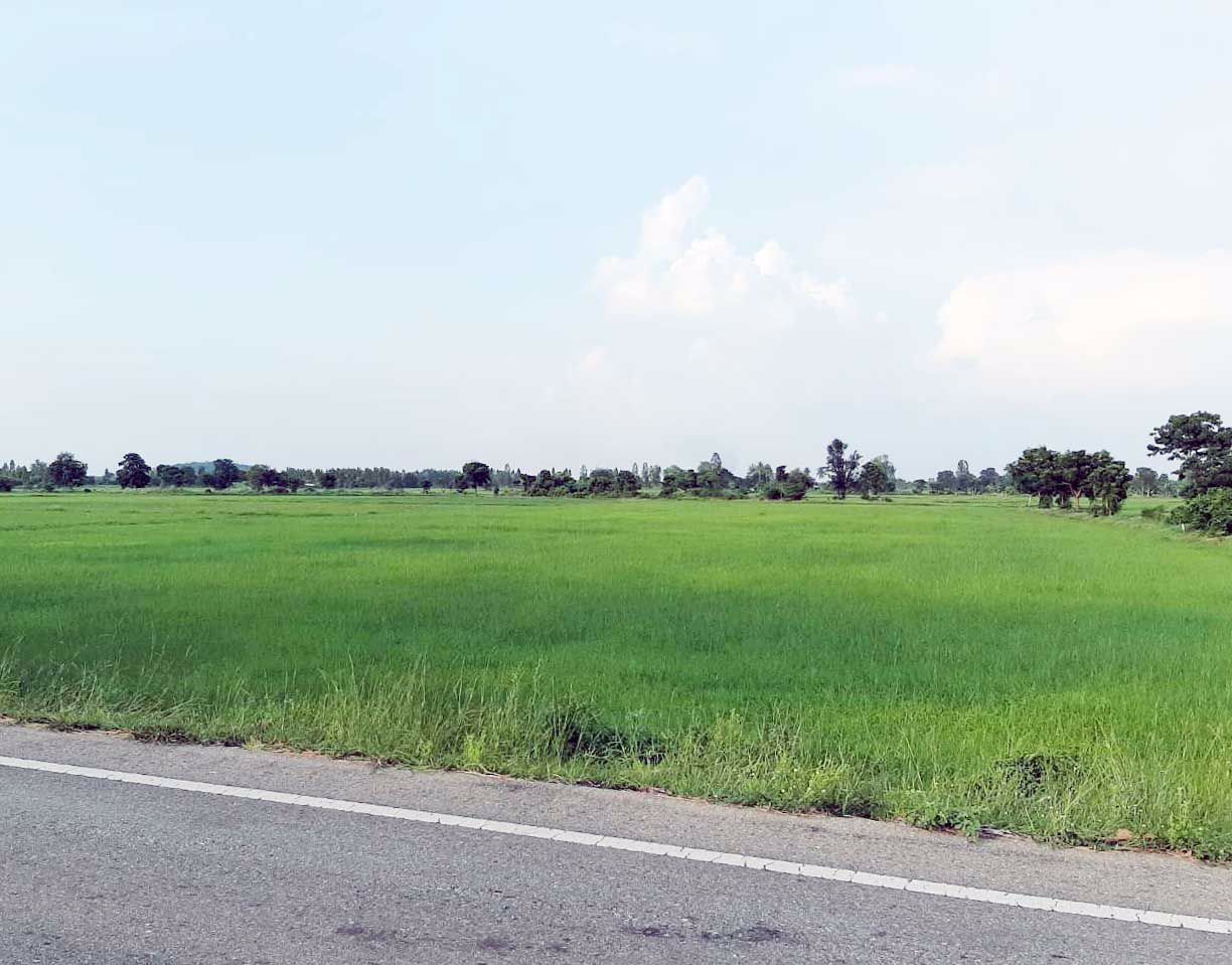 ขายที่ดินราคาถูก-20-ไร่-บรรยากาศธรรมชาติ-ท่าม่วง-กาญจนบุรี